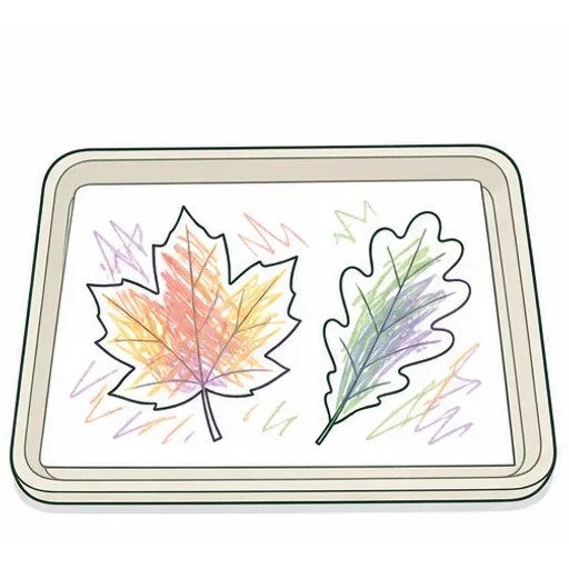 Rendu illustré : Les feuilles à colorier